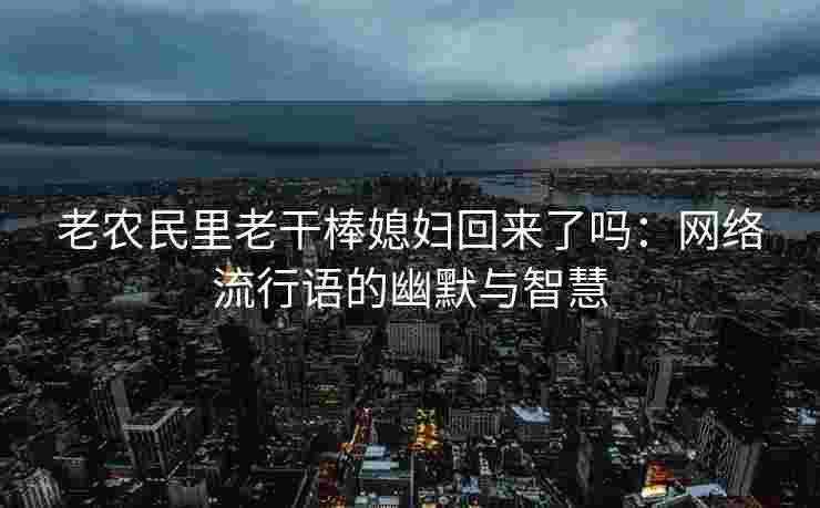 老农民里老干棒媳妇回来了吗：网络流行语的幽默与智慧